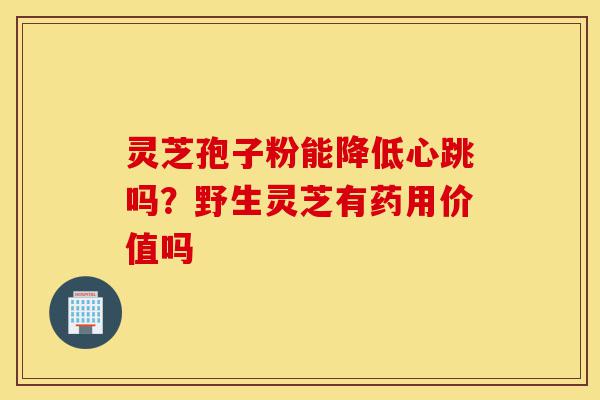 灵芝孢子粉能降低心跳吗?野生灵芝有药用价值吗-第1张图片-灵芝之家 灵芝孢子粉能降低心跳吗?野生灵芝有药用价值吗-第1张图片-灵芝之家