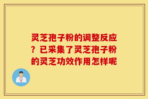 灵芝孢子粉的调整反应?已采集了灵芝孢子粉的灵芝功效作用怎样呢-第1张图片-灵芝之家 灵芝孢子粉的调整反应?已采集了灵芝孢子粉的灵芝功效作用怎样呢-第1张图片-灵芝之家