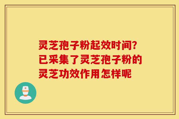 灵芝孢子粉起效时间?已采集了灵芝孢子粉的灵芝功效作用怎样呢-第1张图片-灵芝之家 灵芝孢子粉起效时间?已采集了灵芝孢子粉的灵芝功效作用怎样呢-第1张图片-灵芝之家