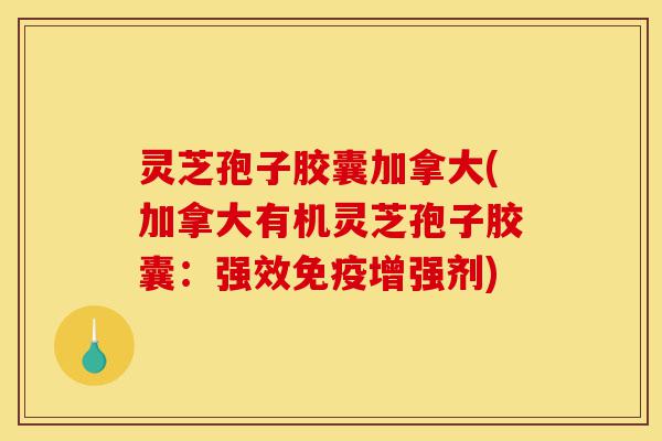 灵芝孢子胶囊加拿大(加拿大有机灵芝孢子胶囊：强效免疫增强剂)-第1张图片-灵芝之家