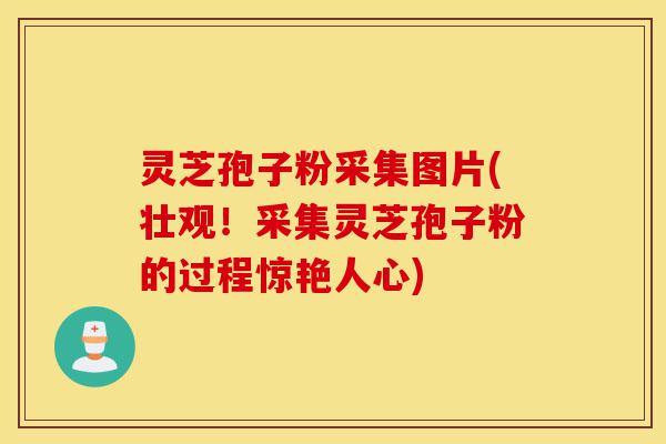 灵芝孢子粉采集图片(壮观!采集灵芝孢子粉的过程惊艳人心)-第1张图片-灵芝之家 灵芝孢子粉采集图片(壮观!采集灵芝孢子粉的过程惊艳人心)-第1张图片-灵芝之家