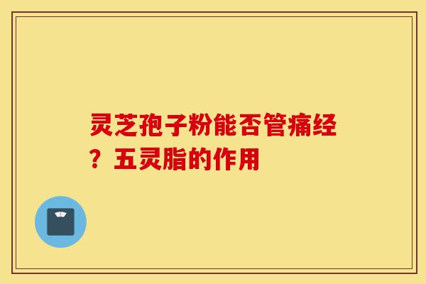 灵芝孢子粉能否管痛经？五灵脂的作用-第1张图片-灵芝之家