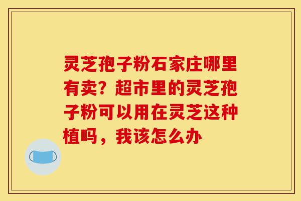 灵芝孢子粉石家庄哪里有卖？超市里的灵芝孢子粉可以用在灵芝这种植吗，我该怎么办-第1张图片-灵芝之家