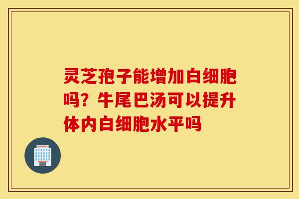 灵芝孢子能增加白细胞吗?牛尾巴汤可以提升体内白细胞水平吗-第1张图片-灵芝之家 灵芝孢子能增加白细胞吗?牛尾巴汤可以提升体内白细胞水平吗-第1张图片-灵芝之家