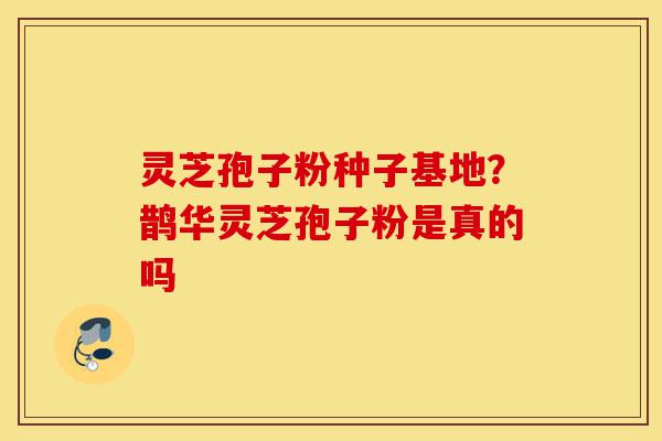 灵芝孢子粉种子基地?鹊华灵芝孢子粉是真的吗-第1张图片-灵芝之家 灵芝孢子粉种子基地?鹊华灵芝孢子粉是真的吗-第1张图片-灵芝之家