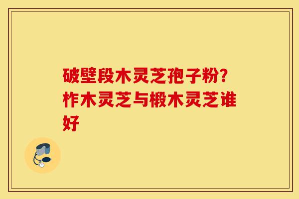 破壁段木灵芝孢子粉?柞木灵芝与椴木灵芝谁好-第1张图片-灵芝之家 破壁段木灵芝孢子粉?柞木灵芝与椴木灵芝谁好-第1张图片-灵芝之家