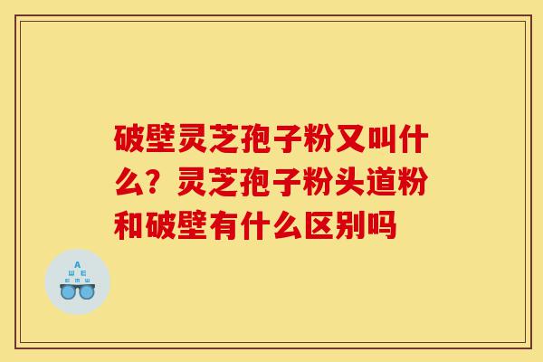 破壁灵芝孢子粉又叫什么?灵芝孢子粉头道粉和破壁有什么区别吗-第1张图片-灵芝之家 破壁灵芝孢子粉又叫什么?灵芝孢子粉头道粉和破壁有什么区别吗-第1张图片-灵芝之家