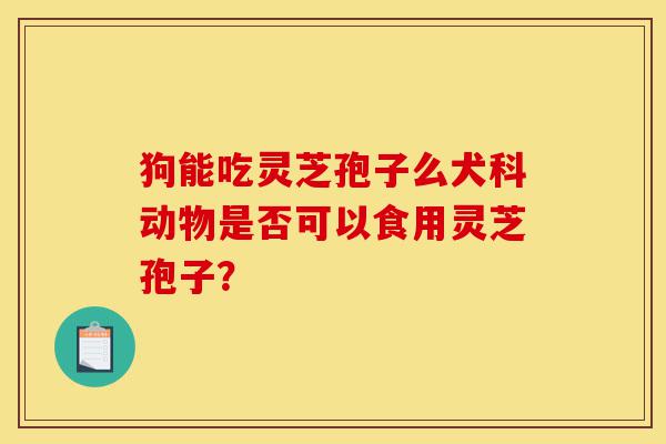 狗能吃灵芝孢子么犬科动物是否可以食用灵芝孢子？-第1张图片-灵芝之家