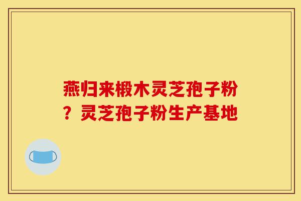 燕归来椴木灵芝孢子粉？灵芝孢子粉生产基地-第1张图片-灵芝之家
