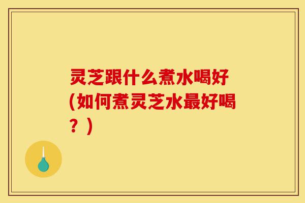 灵芝跟什么煮水喝好 (如何煮灵芝水最好喝?)-第1张图片-灵芝之家 灵芝跟什么煮水喝好 (如何煮灵芝水最好喝?)-第1张图片-灵芝之家
