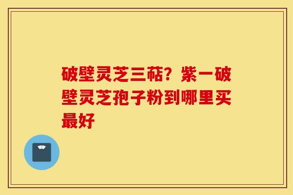 破壁灵芝三萜？紫一破壁灵芝孢子粉到哪里买最好-第1张图片-灵芝之家