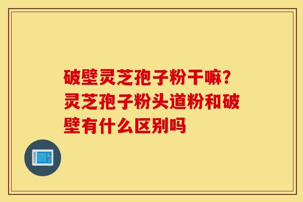 破壁灵芝孢子粉干嘛？灵芝孢子粉头道粉和破壁有什么区别吗-第1张图片-灵芝之家