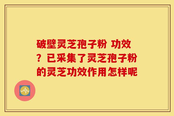 破壁灵芝孢子粉 功效?已采集了灵芝孢子粉的灵芝功效作用怎样呢-第1张图片-灵芝之家 破壁灵芝孢子粉 功效?已采集了灵芝孢子粉的灵芝功效作用怎样呢-第1张图片-灵芝之家