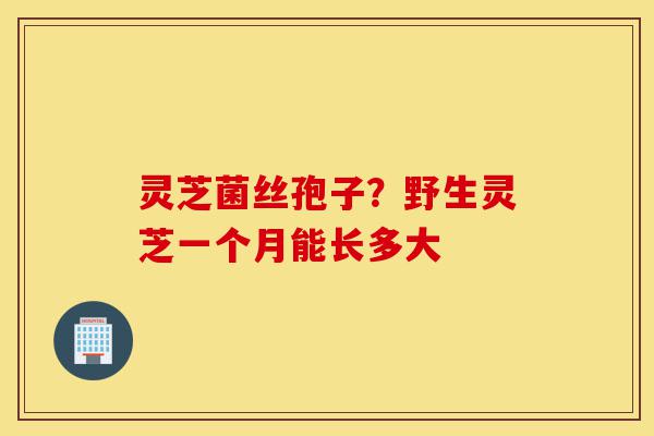 灵芝菌丝孢子？野生灵芝一个月能长多大-第1张图片-灵芝之家