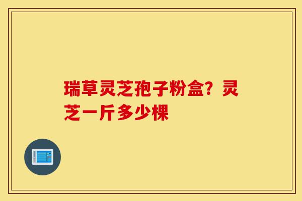 瑞草灵芝孢子粉盒?灵芝一斤多少棵-第1张图片-灵芝之家 瑞草灵芝孢子粉盒?灵芝一斤多少棵-第1张图片-灵芝之家
