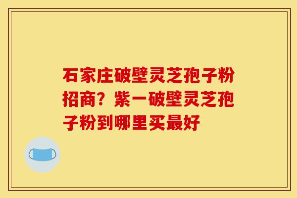 石家庄破壁灵芝孢子粉招商？紫一破壁灵芝孢子粉到哪里买最好-第1张图片-灵芝之家