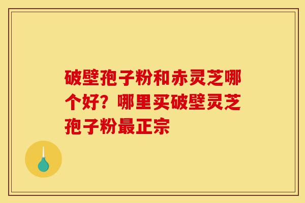破壁孢子粉和赤灵芝哪个好？哪里买破壁灵芝孢子粉最正宗-第1张图片-灵芝之家