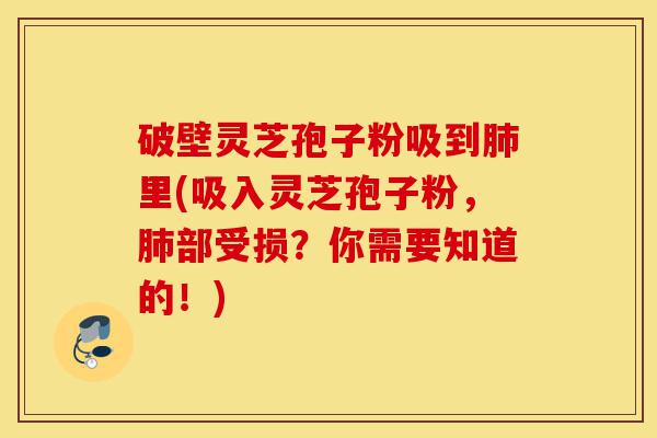 破壁灵芝孢子粉吸到肺里(吸入灵芝孢子粉，肺部受损？你需要知道的！)-第1张图片-灵芝之家