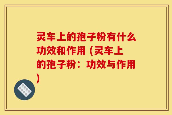 灵车上的孢子粉有什么功效和作用 (灵车上的孢子粉:功效与作用)-第1张图片-灵芝之家 灵车上的孢子粉有什么功效和作用 (灵车上的孢子粉:功效与作用)-第1张图片-灵芝之家