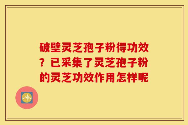 破壁灵芝孢子粉得功效?已采集了灵芝孢子粉的灵芝功效作用怎样呢-第1张图片-灵芝之家 破壁灵芝孢子粉得功效?已采集了灵芝孢子粉的灵芝功效作用怎样呢-第1张图片-灵芝之家