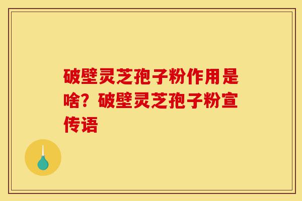 破壁灵芝孢子粉作用是啥?破壁灵芝孢子粉宣传语-第1张图片-灵芝之家 破壁灵芝孢子粉作用是啥?破壁灵芝孢子粉宣传语-第1张图片-灵芝之家