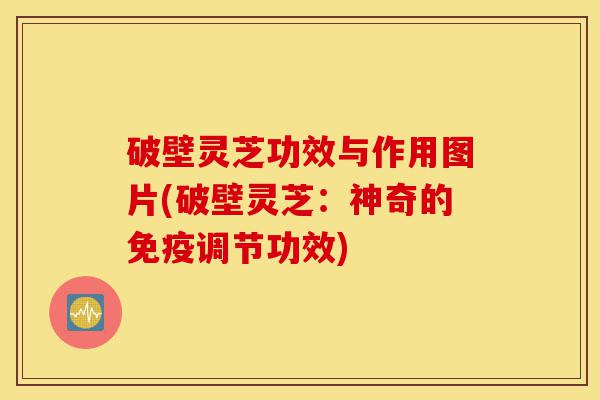 破壁灵芝功效与作用图片(破壁灵芝:神奇的免疫调节功效)-第1张图片-灵芝之家 破壁灵芝功效与作用图片(破壁灵芝:神奇的免疫调节功效)-第1张图片-灵芝之家