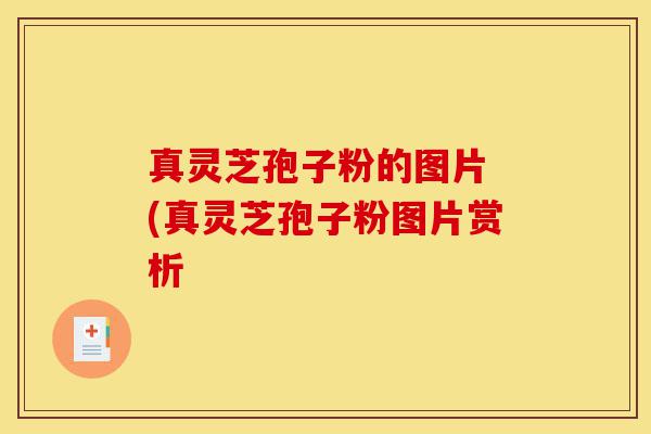 真灵芝孢子粉的图片 (真灵芝孢子粉图片赏析-第1张图片-灵芝之家 真灵芝孢子粉的图片 (真灵芝孢子粉图片赏析-第1张图片-灵芝之家
