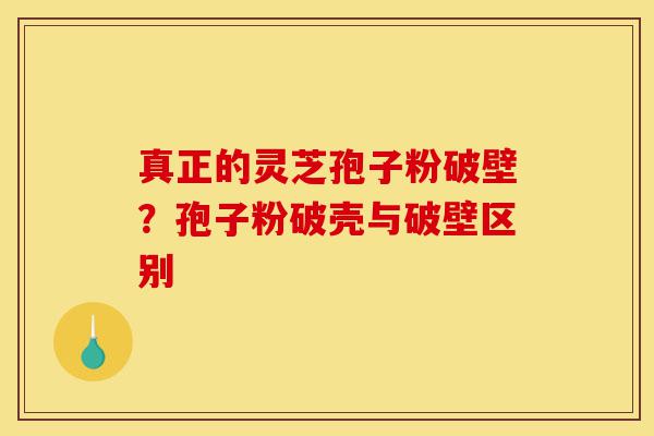 真正的灵芝孢子粉破壁?孢子粉破壳与破壁区别-第1张图片-灵芝之家 真正的灵芝孢子粉破壁?孢子粉破壳与破壁区别-第1张图片-灵芝之家