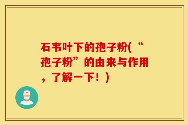 石韦叶下的孢子粉(“孢子粉”的由来与作用,了解一下!)-第1张图片-灵芝之家 石韦叶下的孢子粉(“孢子粉”的由来与作用,了解一下!)-第1张图片-灵芝之家