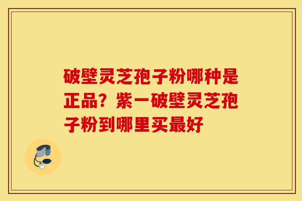 破壁灵芝孢子粉哪种是正品？紫一破壁灵芝孢子粉到哪里买最好-第1张图片-灵芝之家