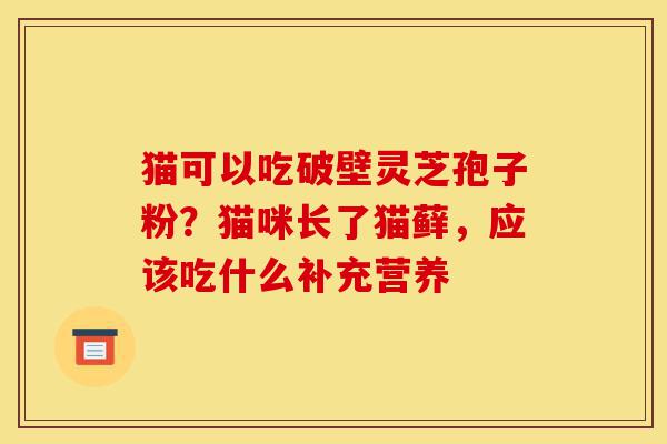 猫可以吃破壁灵芝孢子粉？猫咪长了猫藓，应该吃什么补充营养-第1张图片-灵芝之家