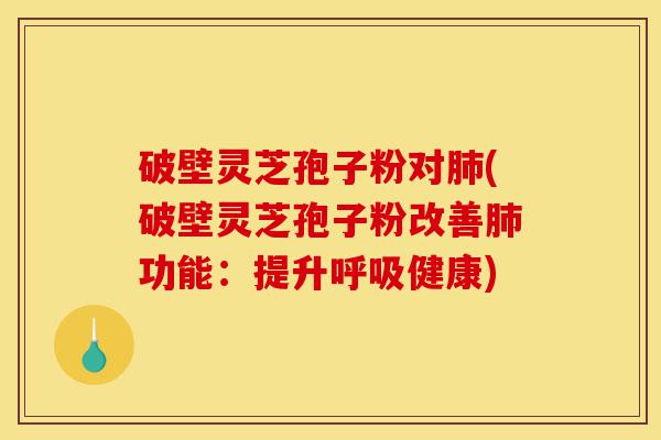 破壁灵芝孢子粉对肺(破壁灵芝孢子粉改善肺功能:提升呼吸健康)-第1张图片-灵芝之家 破壁灵芝孢子粉对肺(破壁灵芝孢子粉改善肺功能:提升呼吸健康)-第1张图片-灵芝之家