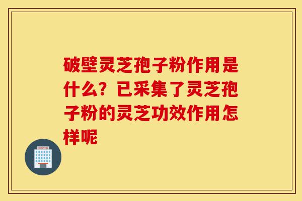 破壁灵芝孢子粉作用是什么?已采集了灵芝孢子粉的灵芝功效作用怎样呢-第1张图片-灵芝之家 破壁灵芝孢子粉作用是什么?已采集了灵芝孢子粉的灵芝功效作用怎样呢-第1张图片-灵芝之家