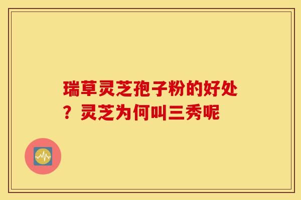 瑞草灵芝孢子粉的好处?灵芝为何叫三秀呢-第1张图片-灵芝之家 瑞草灵芝孢子粉的好处?灵芝为何叫三秀呢-第1张图片-灵芝之家