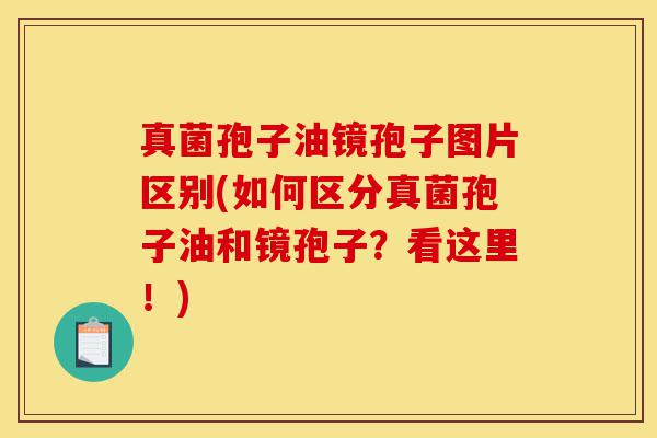 真菌孢子油镜孢子图片区别(如何区分真菌孢子油和镜孢子？看这里！)-第1张图片-灵芝之家