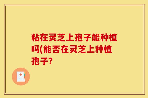 粘在灵芝上孢子能种植吗(能否在灵芝上种植孢子?-第1张图片-灵芝之家 粘在灵芝上孢子能种植吗(能否在灵芝上种植孢子?-第1张图片-灵芝之家