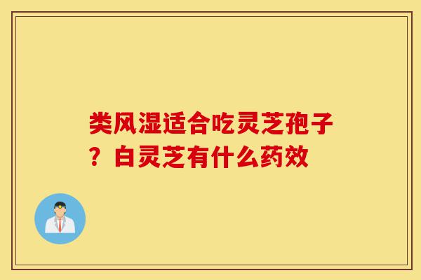 类风湿适合吃灵芝孢子?白灵芝有什么药效-第1张图片-灵芝之家 类风湿适合吃灵芝孢子?白灵芝有什么药效-第1张图片-灵芝之家