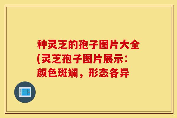 种灵芝的孢子图片大全(灵芝孢子图片展示：颜色斑斓，形态各异-第1张图片-灵芝之家