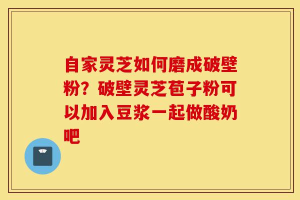 自家灵芝如何磨成破壁粉?破壁灵芝苞子粉可以加入豆浆一起做酸奶吧-第1张图片-灵芝之家 自家灵芝如何磨成破壁粉?破壁灵芝苞子粉可以加入豆浆一起做酸奶吧-第1张图片-灵芝之家