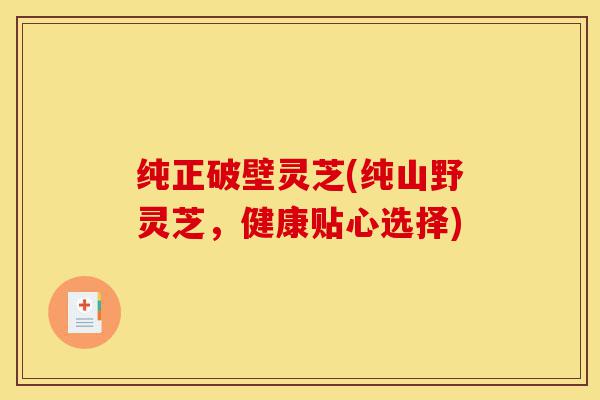 纯正破壁灵芝(纯山野灵芝,健康贴心选择)-第1张图片-灵芝之家 纯正破壁灵芝(纯山野灵芝,健康贴心选择)-第1张图片-灵芝之家