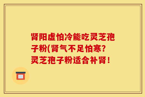 肾阳虚怕冷能吃灵芝孢子粉(肾气不足怕寒?灵芝孢子粉适合补肾!-第1张图片-灵芝之家 肾阳虚怕冷能吃灵芝孢子粉(肾气不足怕寒?灵芝孢子粉适合补肾!-第1张图片-灵芝之家