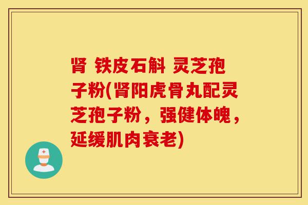 肾 铁皮石斛 灵芝孢子粉(肾阳虎骨丸配灵芝孢子粉,强健体魄,延缓肌肉衰老)-第1张图片-灵芝之家 肾 铁皮石斛 灵芝孢子粉(肾阳虎骨丸配灵芝孢子粉,强健体魄,延缓肌肉衰老)-第1张图片-灵芝之家