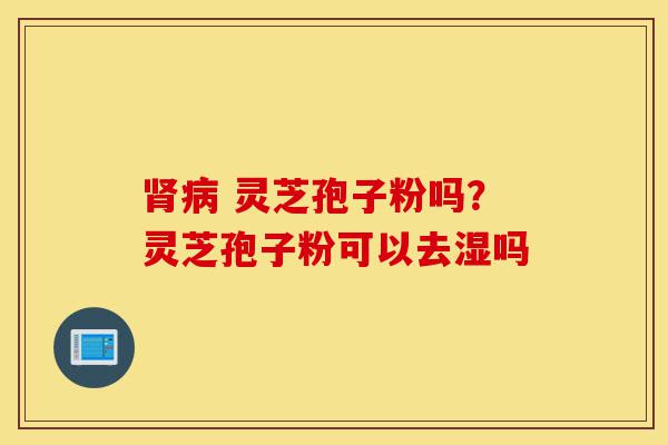 肾病 灵芝孢子粉吗？灵芝孢子粉可以去湿吗-第1张图片-灵芝之家