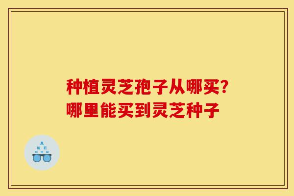 种植灵芝孢子从哪买？哪里能买到灵芝种子-第1张图片-灵芝之家