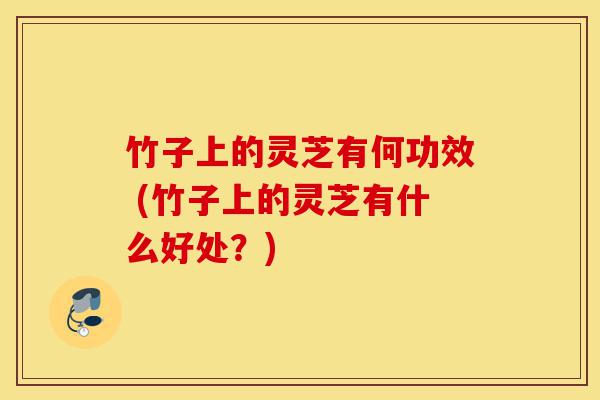竹子上的灵芝有何功效 (竹子上的灵芝有什么好处?)-第1张图片-灵芝之家 竹子上的灵芝有何功效 (竹子上的灵芝有什么好处?)-第1张图片-灵芝之家