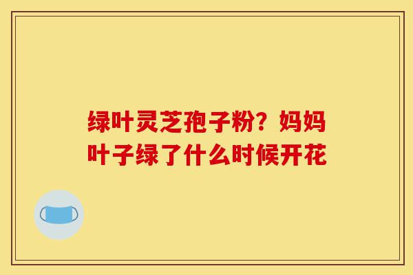 绿叶灵芝孢子粉?妈妈叶子绿了什么时候开花-第1张图片-灵芝之家 绿叶灵芝孢子粉?妈妈叶子绿了什么时候开花-第1张图片-灵芝之家