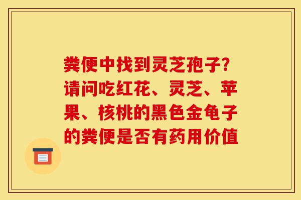 粪便中找到灵芝孢子?请问吃红花、灵芝、苹果、核桃的黑色金龟子的粪便是否有药用价值-第1张图片-灵芝之家 粪便中找到灵芝孢子?请问吃红花、灵芝、苹果、核桃的黑色金龟子的粪便是否有药用价值-第1张图片-灵芝之家