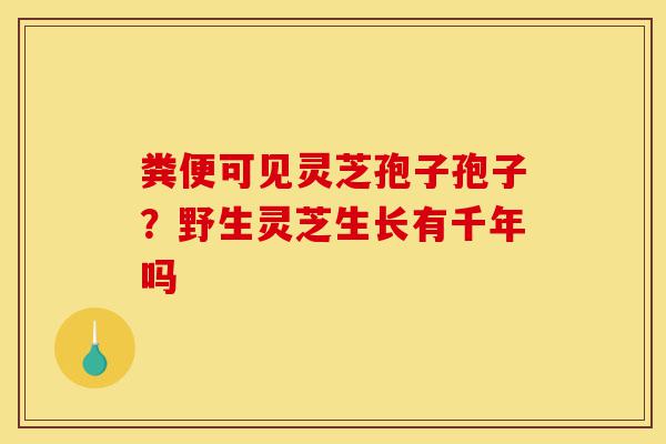 粪便可见灵芝孢子孢子?野生灵芝生长有千年吗-第1张图片-灵芝之家 粪便可见灵芝孢子孢子?野生灵芝生长有千年吗-第1张图片-灵芝之家