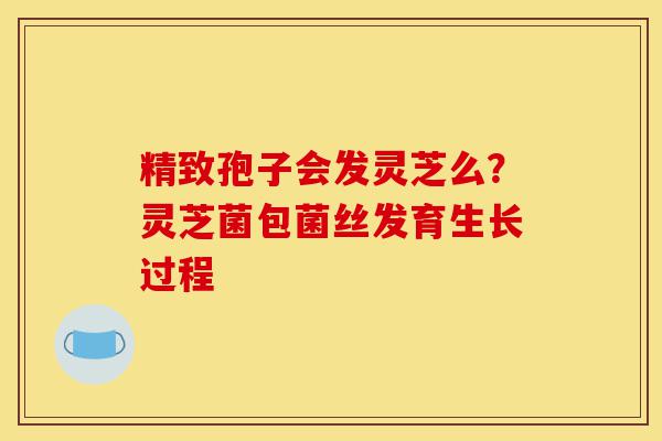 精致孢子会发灵芝么?灵芝菌包菌丝发育生长过程-第1张图片-灵芝之家 精致孢子会发灵芝么?灵芝菌包菌丝发育生长过程-第1张图片-灵芝之家