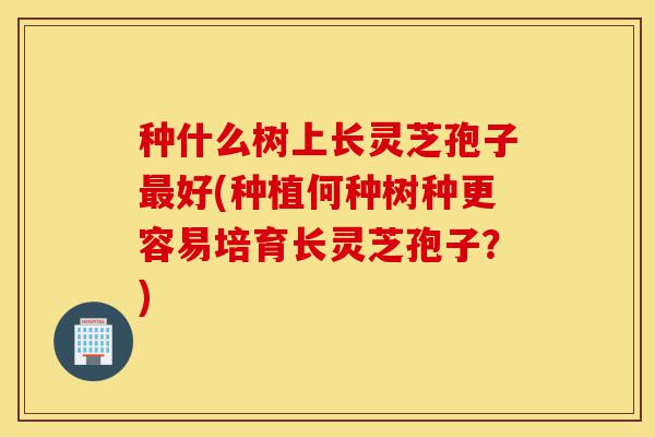 种什么树上长灵芝孢子最好(种植何种树种更容易培育长灵芝孢子?)-第1张图片-灵芝之家 种什么树上长灵芝孢子最好(种植何种树种更容易培育长灵芝孢子?)-第1张图片-灵芝之家